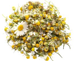 Chamomile