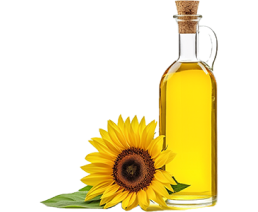 Sunflower Oil